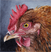 huhn